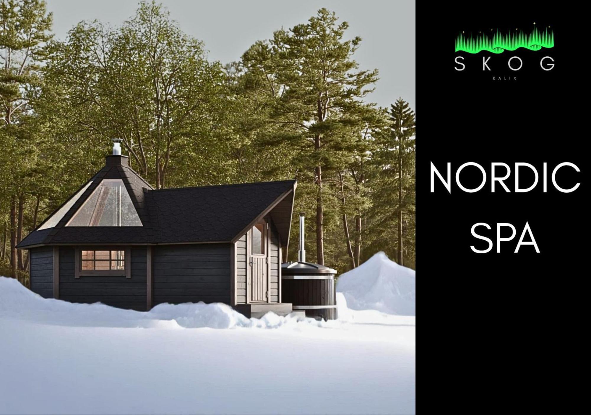 Skog Aurora Igloos *