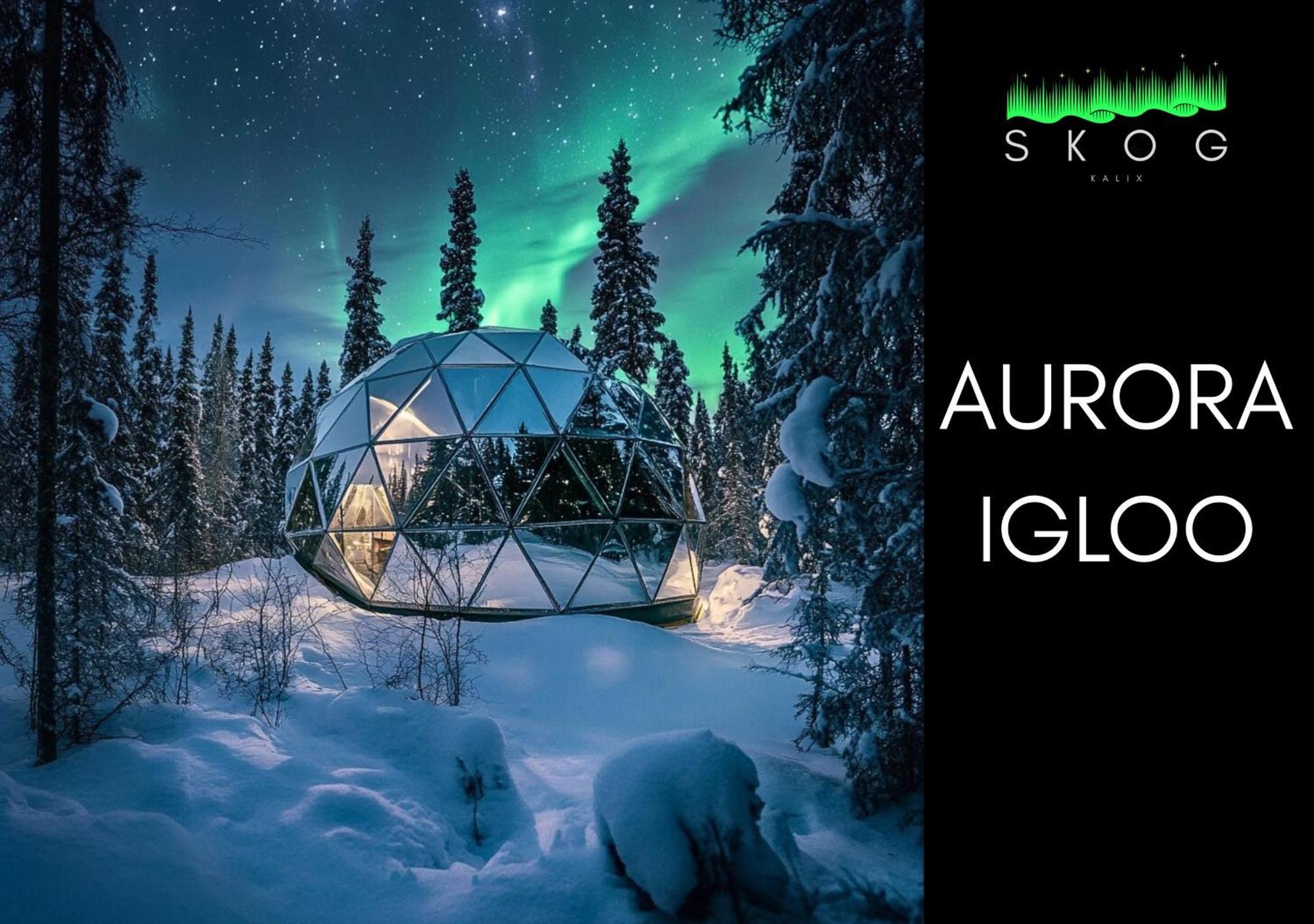 山林小屋 Skog Aurora Igloos Kalix