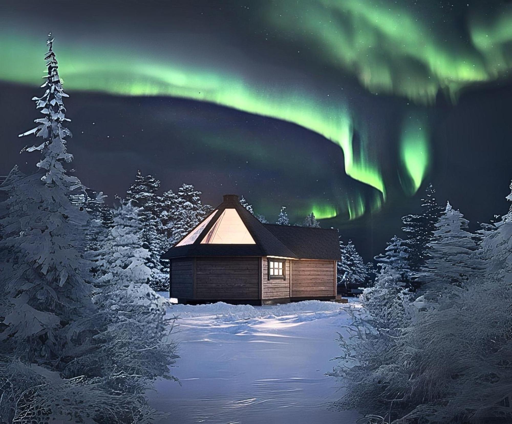山林小屋 Skog Aurora Igloos *