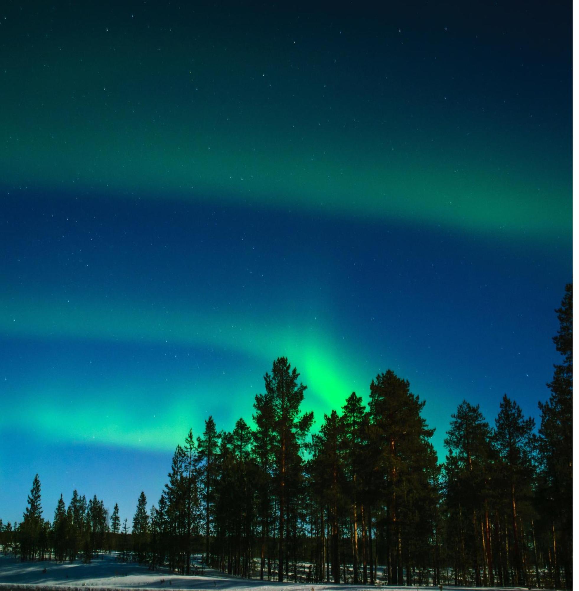 Skog Aurora Igloos