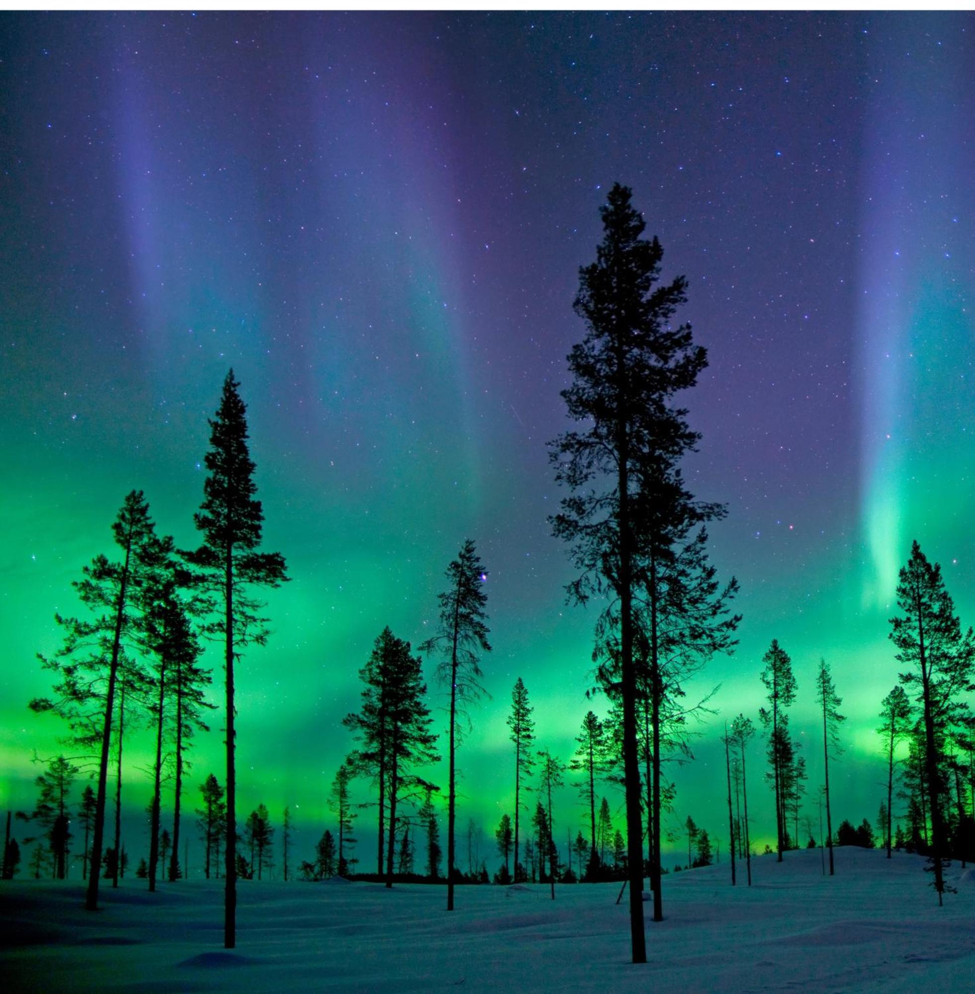 Skog Aurora Igloos Kalix