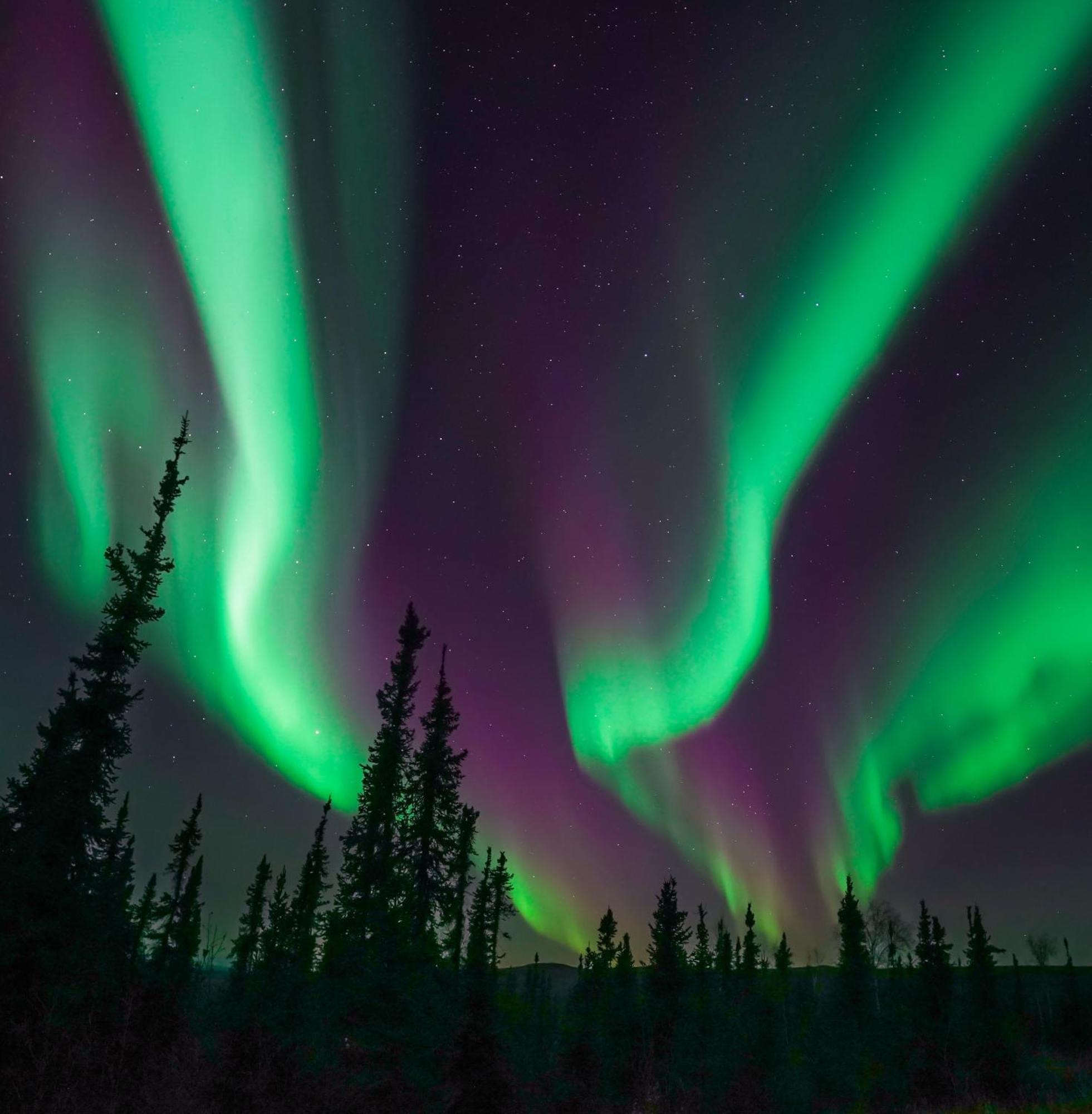 Skog Aurora Igloos *
