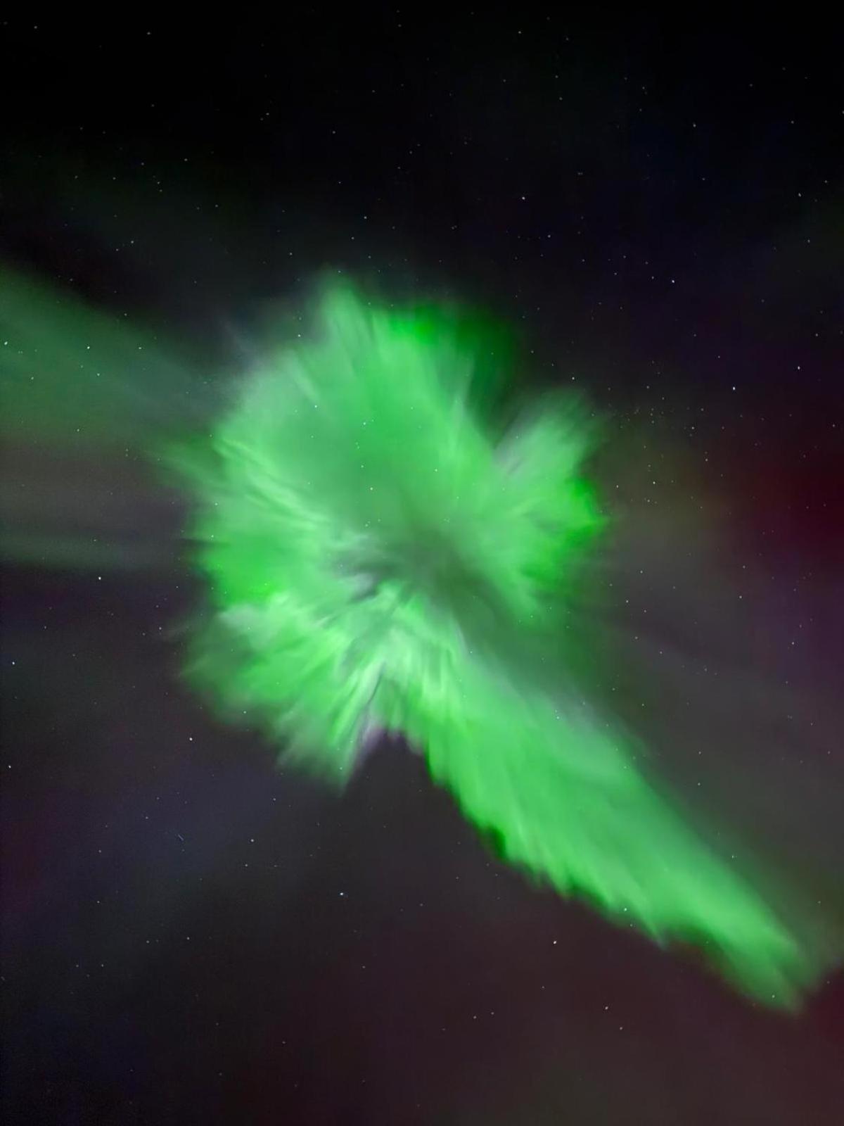Skog Aurora Igloos