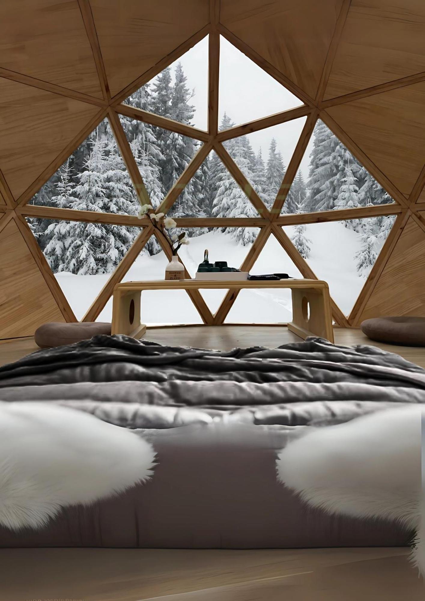 Skog Aurora Igloos